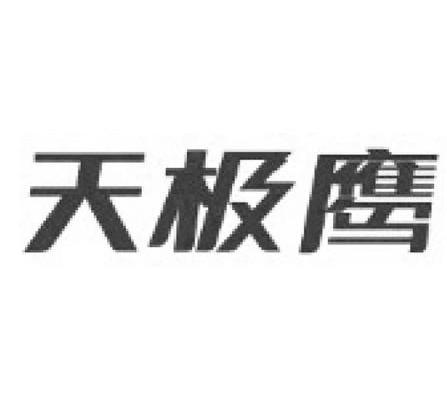 天极鹰