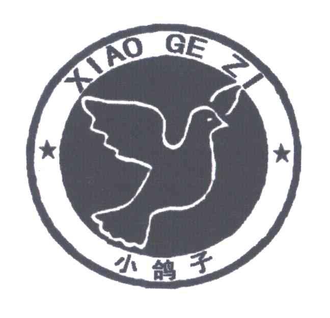 小鸽子