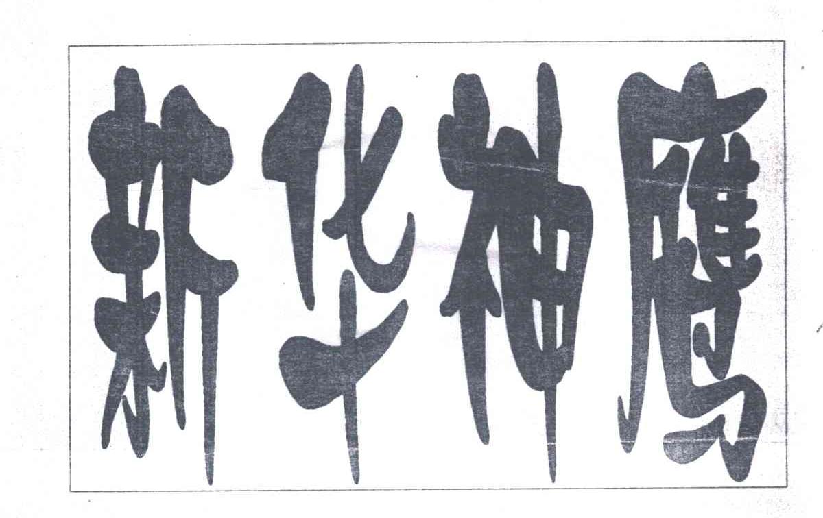 新华神鹰