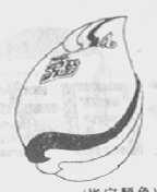 爱的