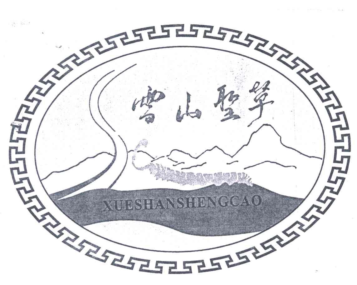 雪山圣草