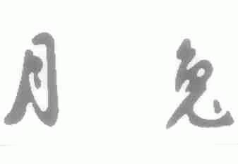 月兔