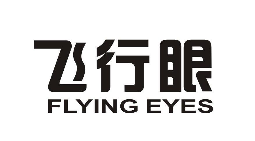 飞行眼 FLYING EYES