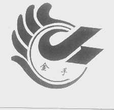 金手