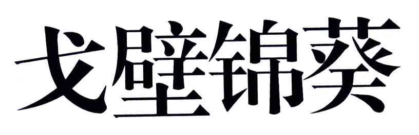 戈壁锦葵