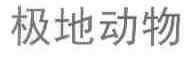 极地动物