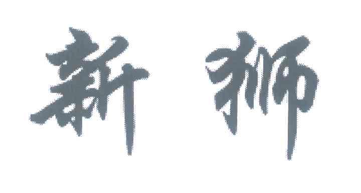 新狮