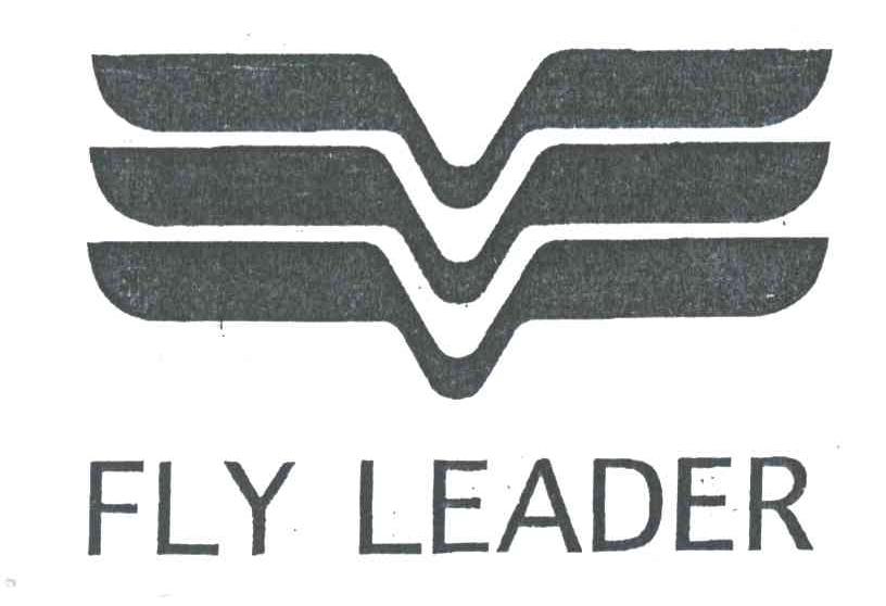 FLY LEADER