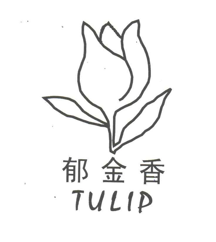 郁金香;TULIP