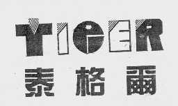 泰格尔   TIGER