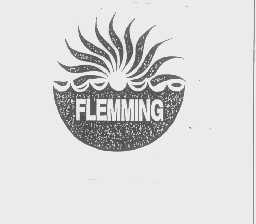 FLEMMING