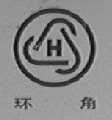 环角
