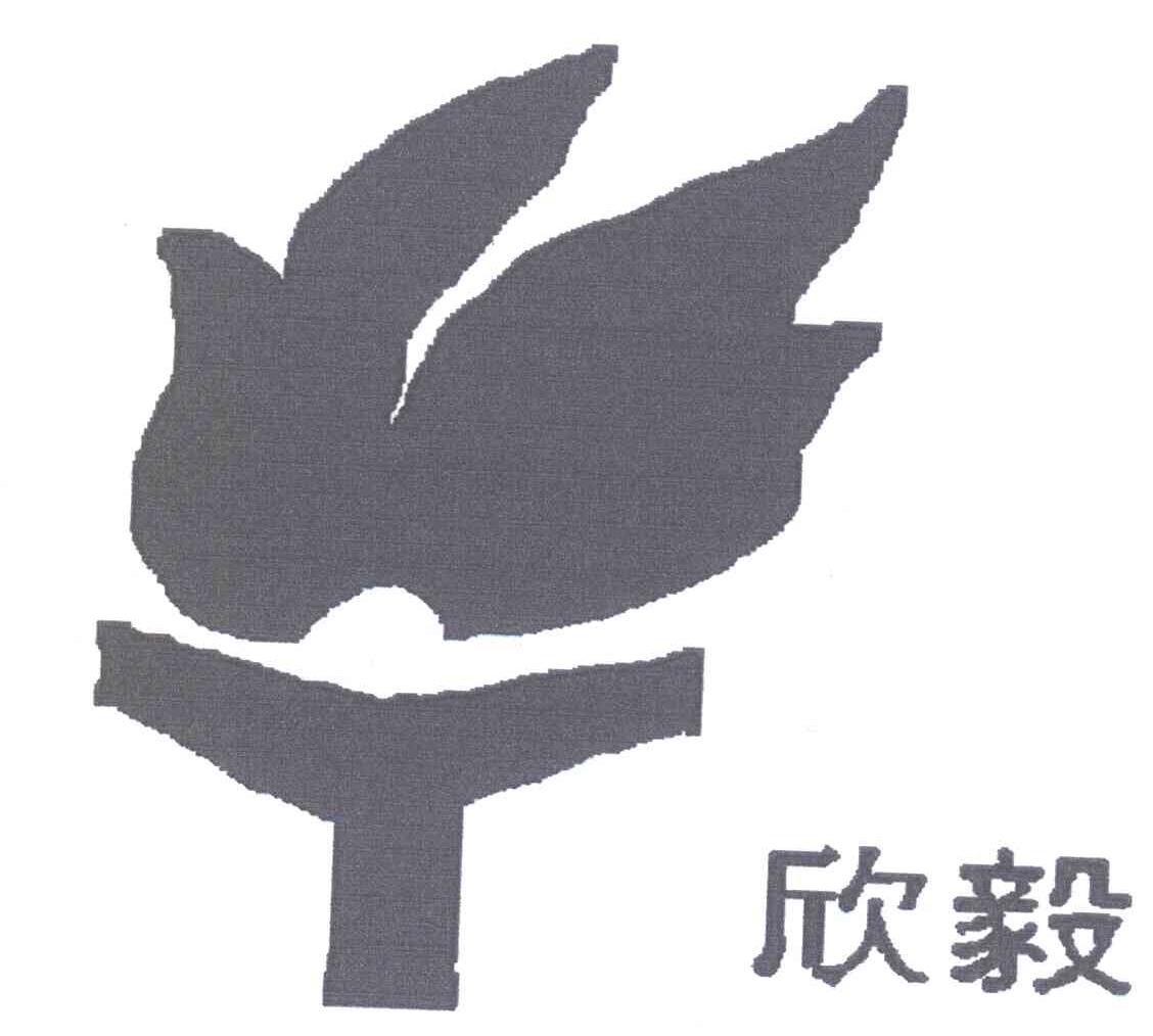 欣毅