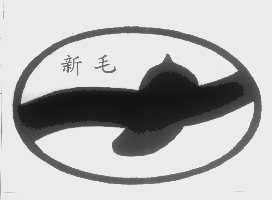 新毛