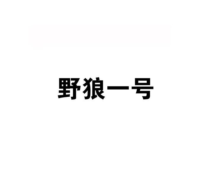 野狼一号