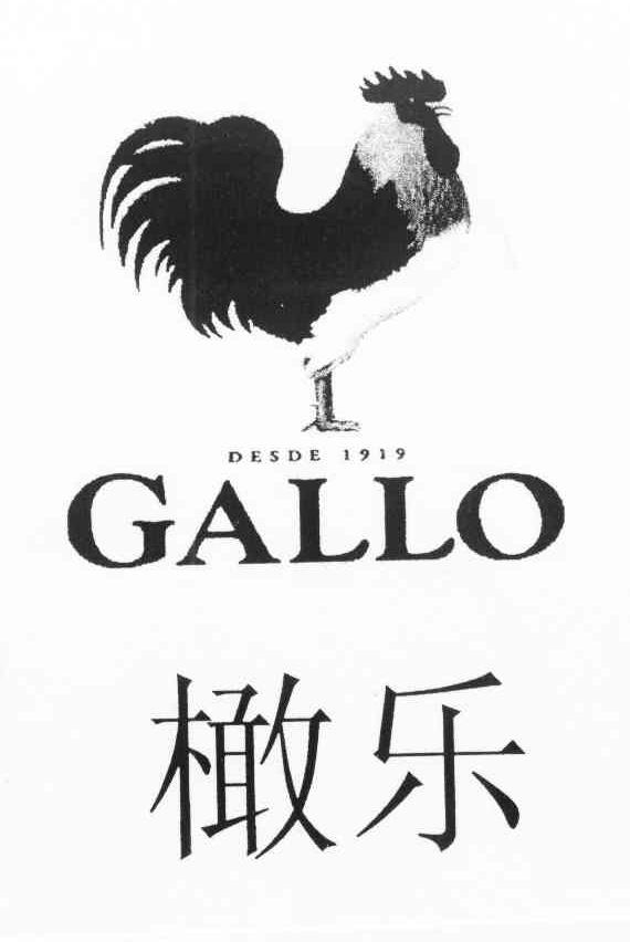 橄乐 DESDE GALLO 1919