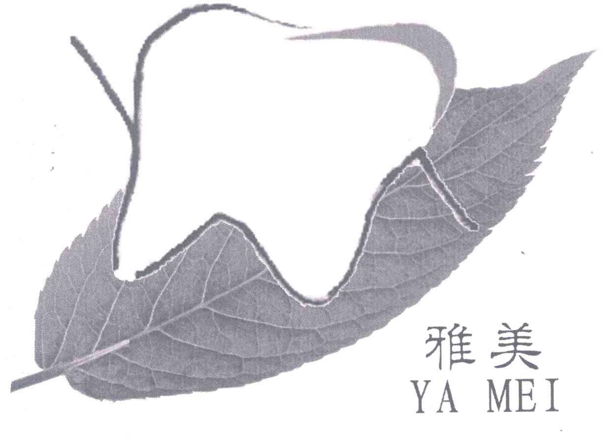 雅美