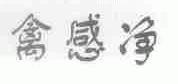 禽感净