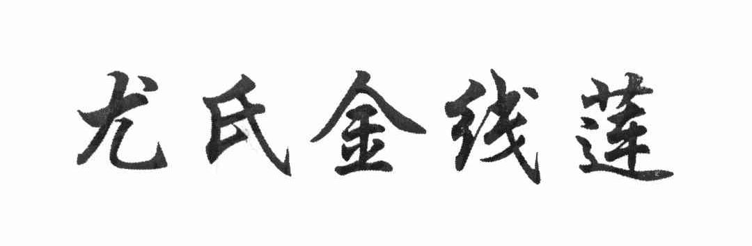 尤氏金线莲