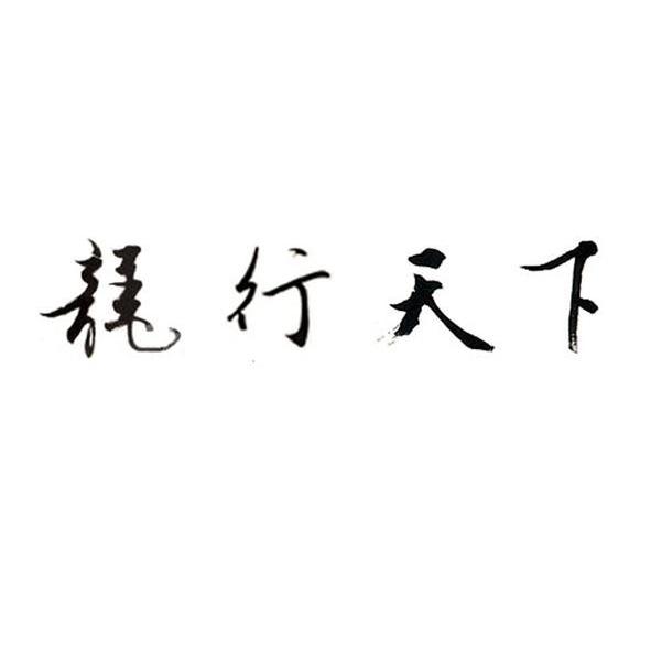 龙行天下