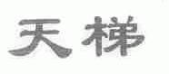 天梯