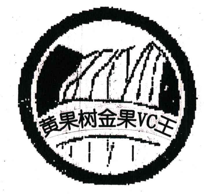 黄果树金果王;VC