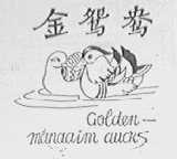 金鸳鸯