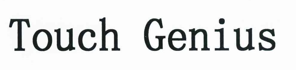 TOUCH GENIUS