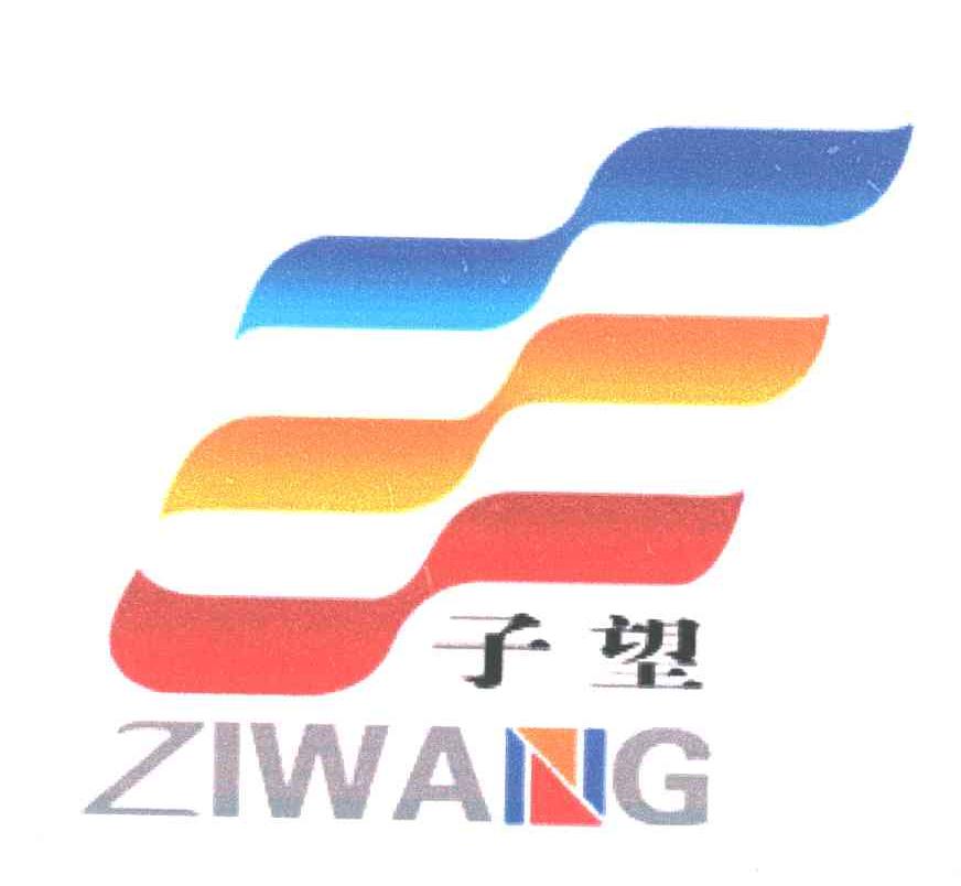 子望;ZI WANG
