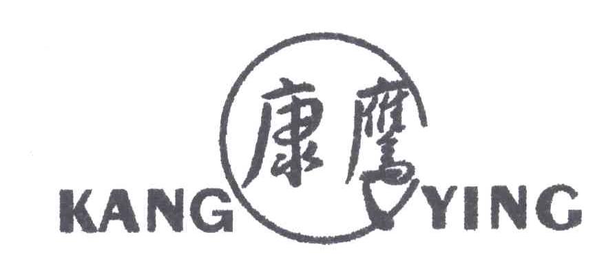康鹰