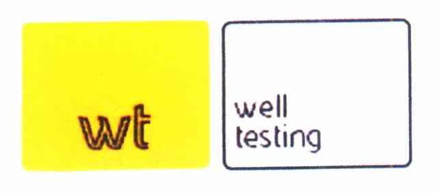 WELL TESTING WT