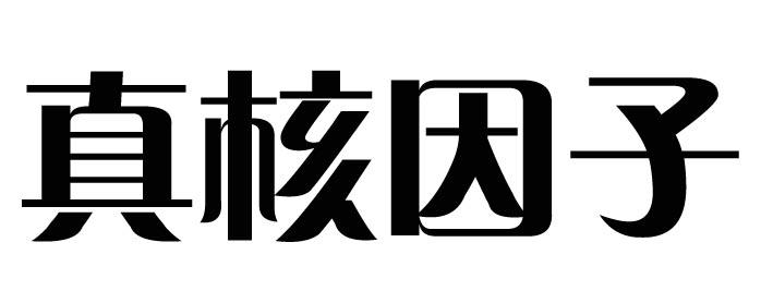 真核因子