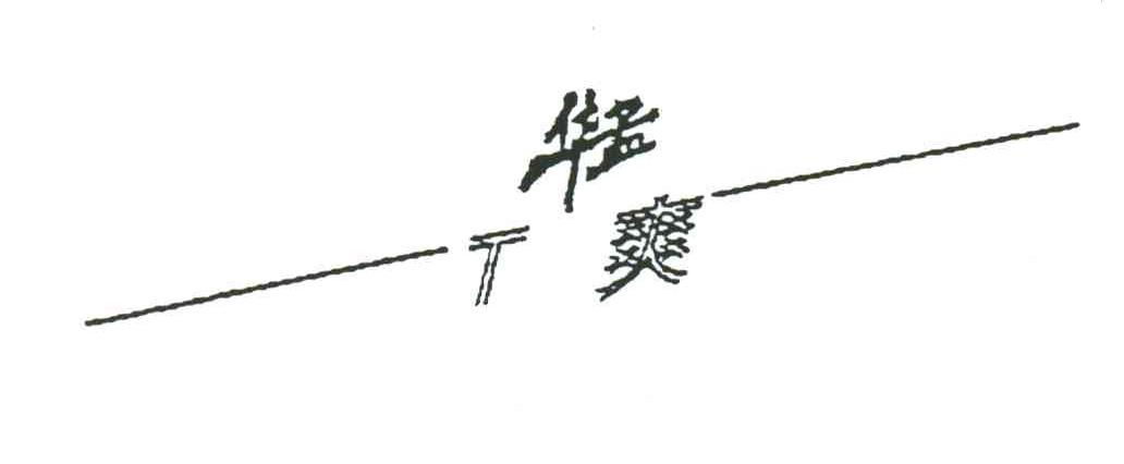 华孟T爽