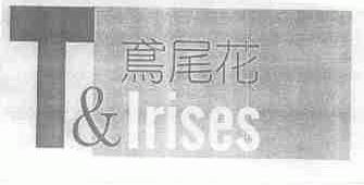 鸢尾花;T;LRISES