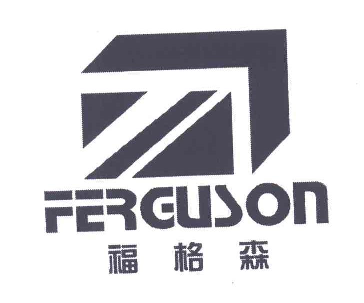 福格森;FERGUSON