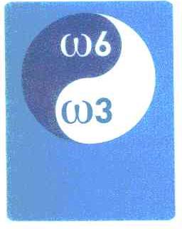W6W3