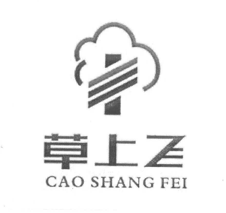 草上飞