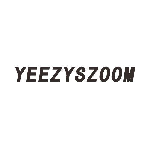 YEEZYSZOOM