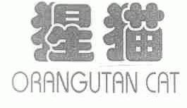 猩猫;ORANGUTAN CAT