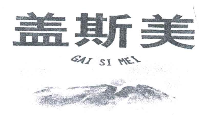盖斯美