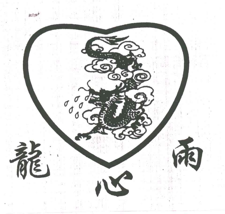 龙心雨