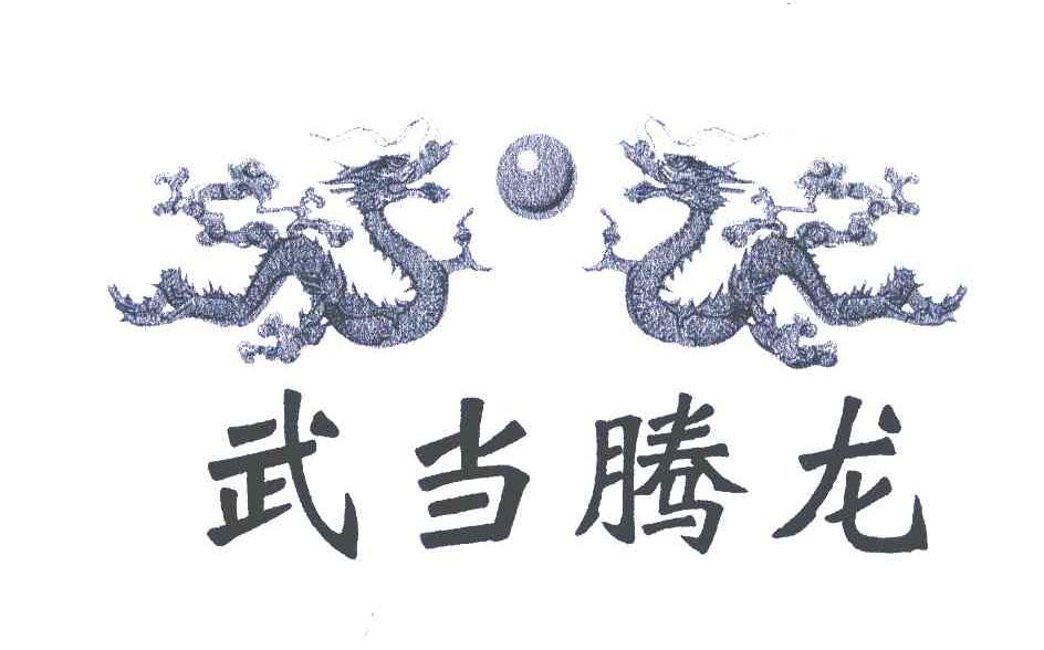 武当腾龙