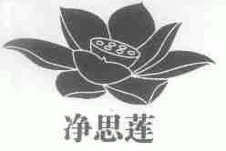 净思莲