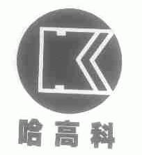 哈高科