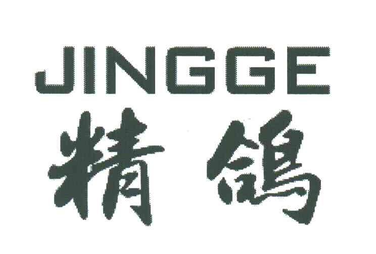 精鸽