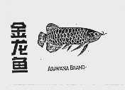 金龙鱼  ARAWANA