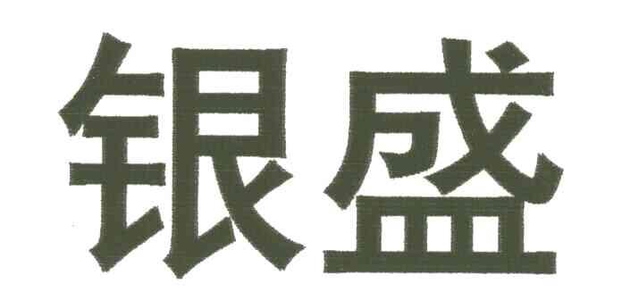 银盛