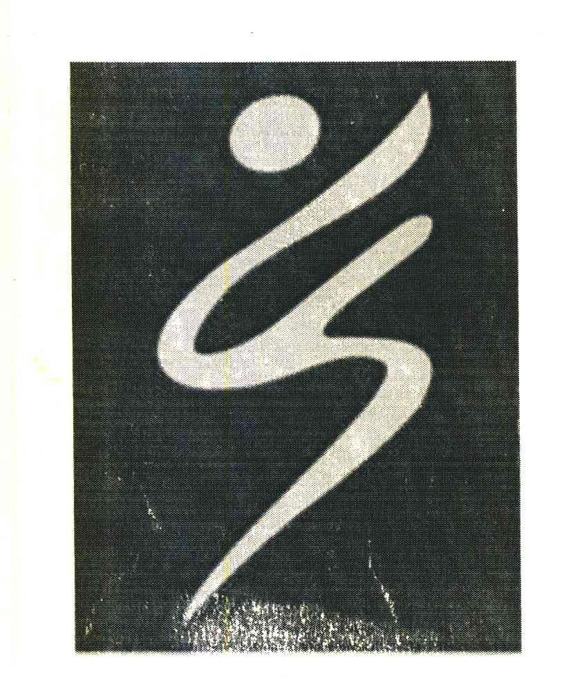 YS