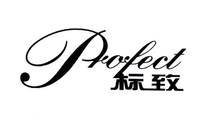 标致;PROFECT