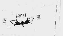 博采